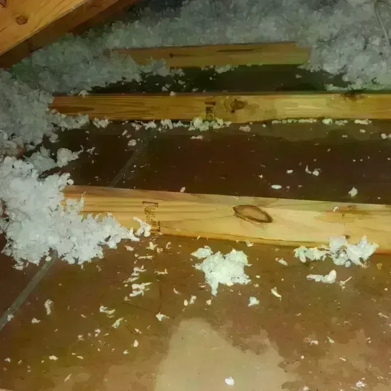 Attic Water Damage in Lake San Marcos, CA