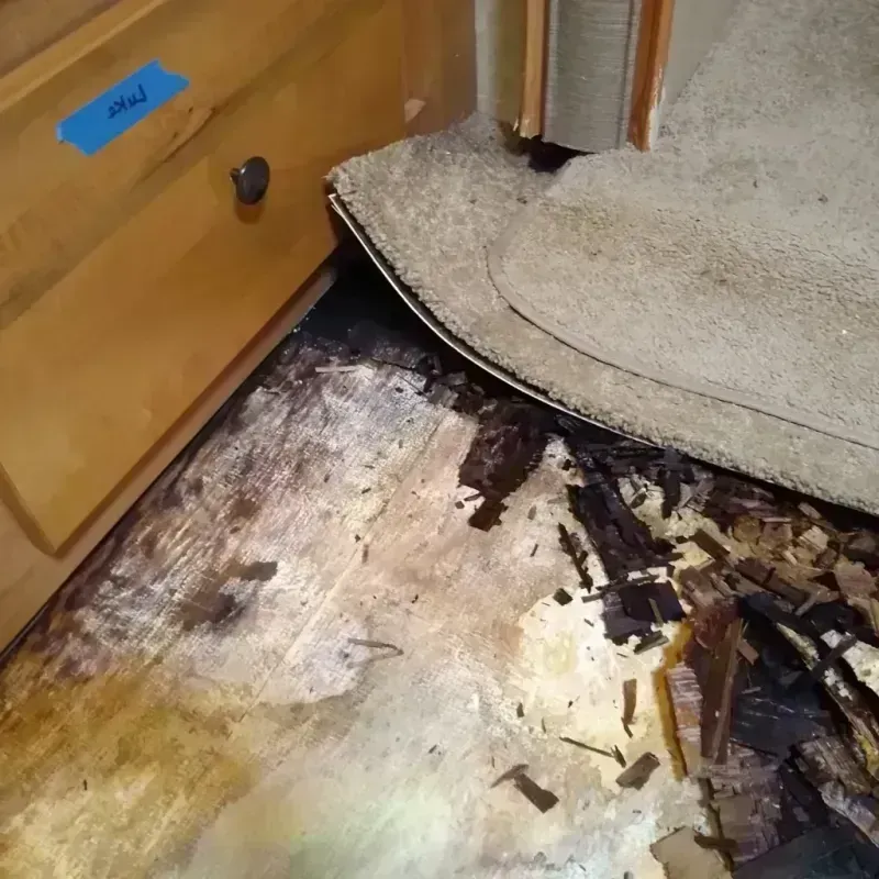 Wood Floor Water Damage in Lake San Marcos, CA